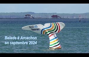 Arcachon 2024