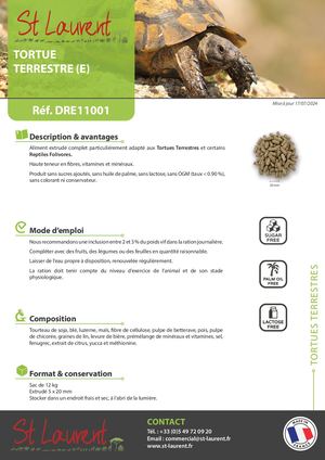 DRE11001 - FT Saint Laurent Tortues Terrestres