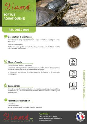 DRE21001 - FT Saint Laurent Tortues Aquatiques