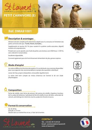 DMA81001 - FT Saint Laurent Petits Carnivores
