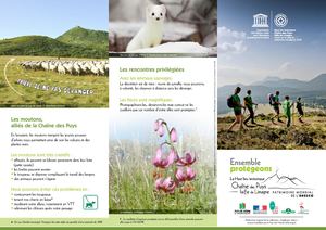 Règles à respecter sur le site