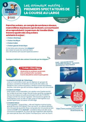 LA GÉOGRAPHIE_C3 F9 Les Animaux Marins V3