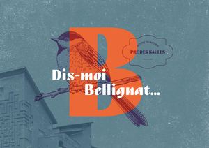 Semcoda Memoire Bellignat A4 Pages