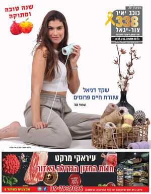 עיתון כוכב יאיר צור יגאל גליון 338