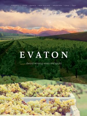 Evaton 2024