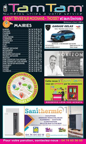 Saint Trivier Sur Moignans - Thoissey