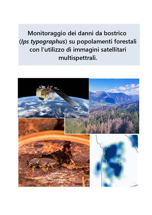 Monitoraggio dei danni da bostrico tipografo con immagini satellitari