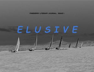 Issue 1: Elusive