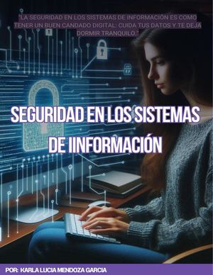 Seguridad En Los Sistemas De Informacion