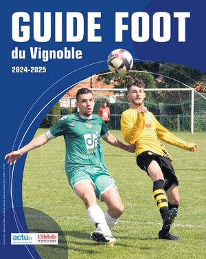 Guide Foot Hsm 2024 2025