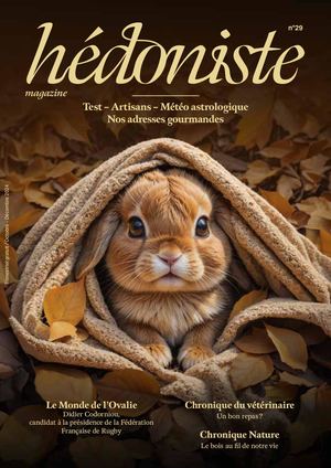 Hédoniste Occitanie #29