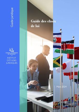 Guide Des Choix De Loi