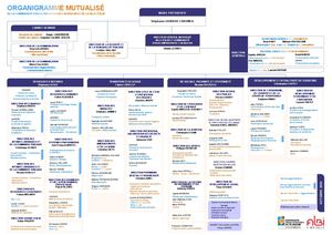 Organigramme Mutualisé de la Communauté d'Agglomération de l'Albigeois et de la Ville d'Albi