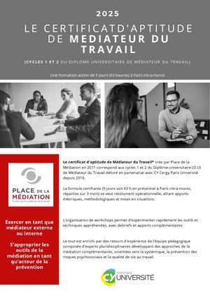 Formation Médiateur Du Travail 2025