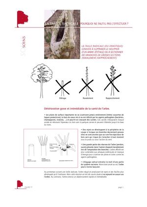 Redicale Calaméo - TAILLE RADICALE