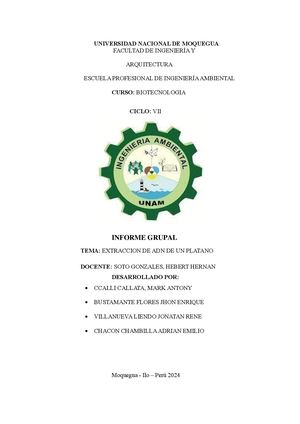 Informe De Platano Adn