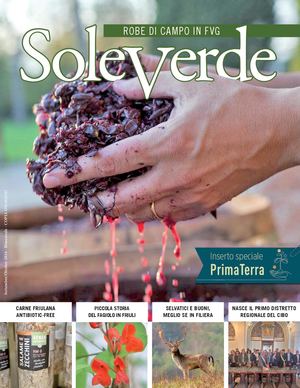 Sole Verde Settembre Ottobre 2024