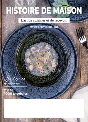 Catalogue Histoire De Maison