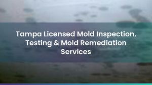 top tools used for mold detection - mold remediation... Calaméo - Tampa Licensed Mold Inspection, Testing & Mold Remediation ...