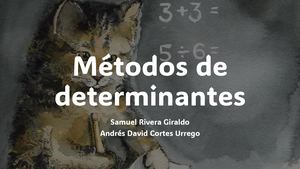 Métodos De Determinantes 2x2 Y 3x3