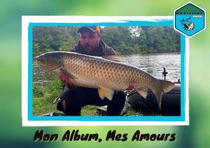 Mon Album Carpe Amour chez Mr Fishing 1926