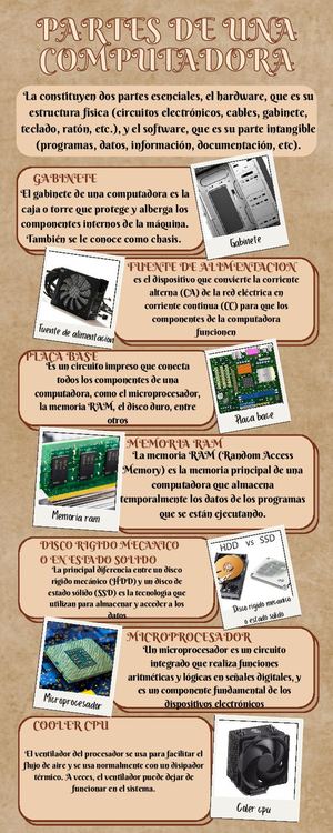 Infografia De Adrian