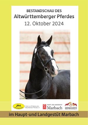 Bestandsschau des Altwürttemberger Pferdes 2024