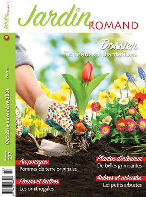 124502628 Ayer Jardin Romand No 277 2024 Web