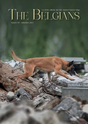 THE BELGIANS_SETTEMBRE 2024