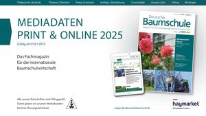 DB Mediadaten Print U Online 2025
