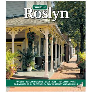 Guide to Roslyn 2024