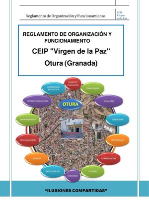 REGLAMENTO DE ORGANIZACIÓN Y FUNCIONAMIENTO