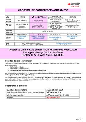 Dossier Selection Ap App Luneville Janvier 2025