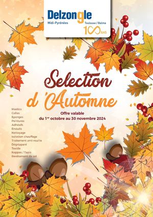 DELZONGLE PROMO AUTOMNE 2024 - R