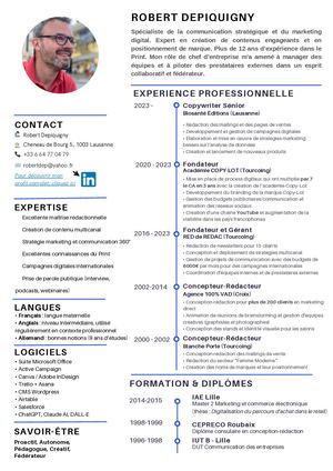 Cv De Robert Depiquigny