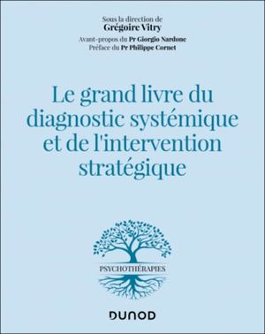 Le grand livre du diagnostic systémique et de l'intervention stratégique