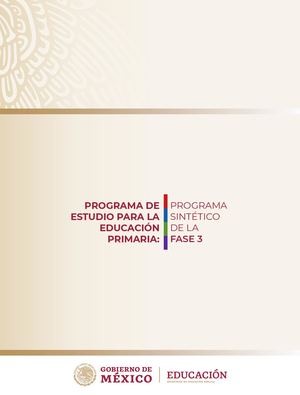 Programa Sintetico Fase 3