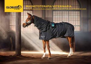 Pieghevole Magneto Vet 4000 Horse - ESP
