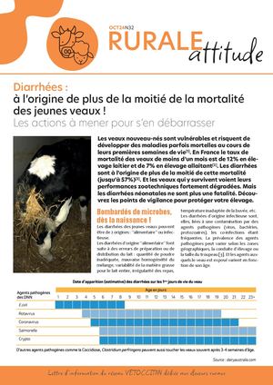 Newscliniques R Oct24 32