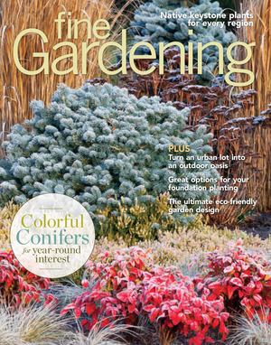 Fine Gardening #220- Preview