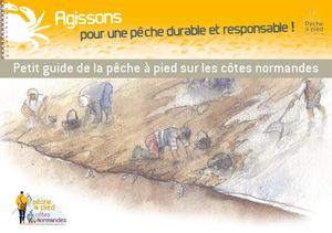 Le petit guide de la pêche à pied sur les côtes normandes