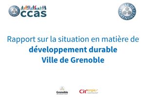 Rapport Annuel Sur Le Développement Durable (Année 2017) Grenoble