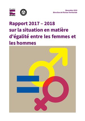 Rapport Sur La Situation En Matière D'égalité Entre Les Femmes Et Les Hommes, Les Genres Et Les Sexualités (2017 2018)