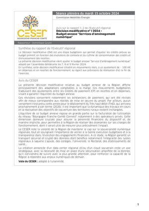 Décision modificative n° 1 2024 - Budget annexe "Services d'aménagement numérique"