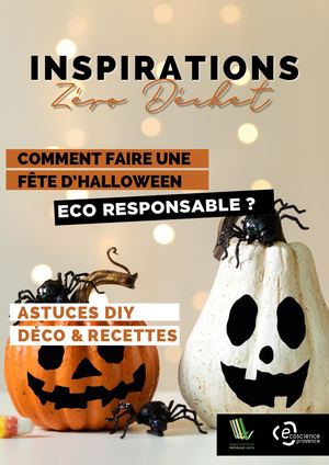Guide inspiration zéro déchet pour Halloween