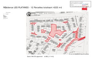 CM 08-10-24 19 Annexe 1 Asl Les Platanes rétrocession d'espaces verts Plan Cadastral