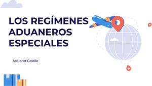Calaméo - Los Regimenes Aduaneros Especiales