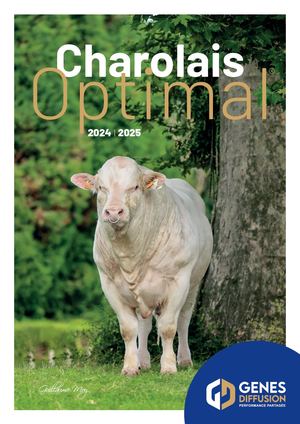 Catalogue Complet Pdf