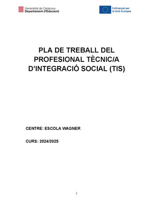 Pla De Treball Tis 24 25 Docx