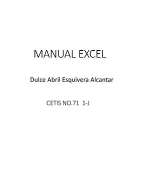 Manual Excel